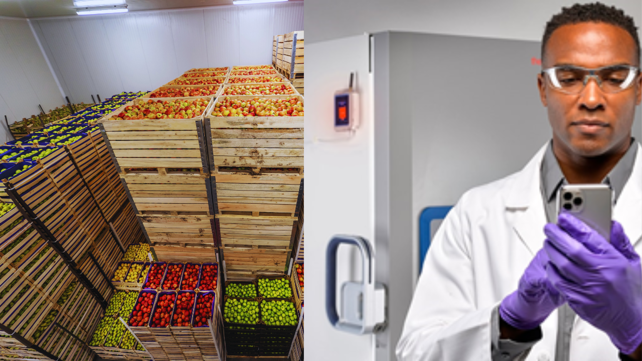 Smart Technology Applications in Ensuring Food Safety in the Cold Chain